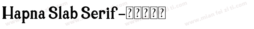 Hapna Slab Serif字体转换